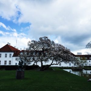Odense slot