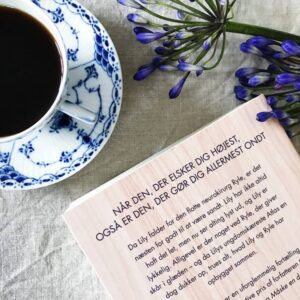 Det ender med os boganbefaling