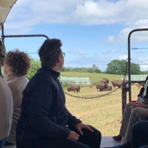 Ditlevsdal bison farm