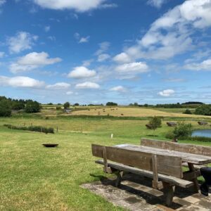Ditlevsdal bison farm